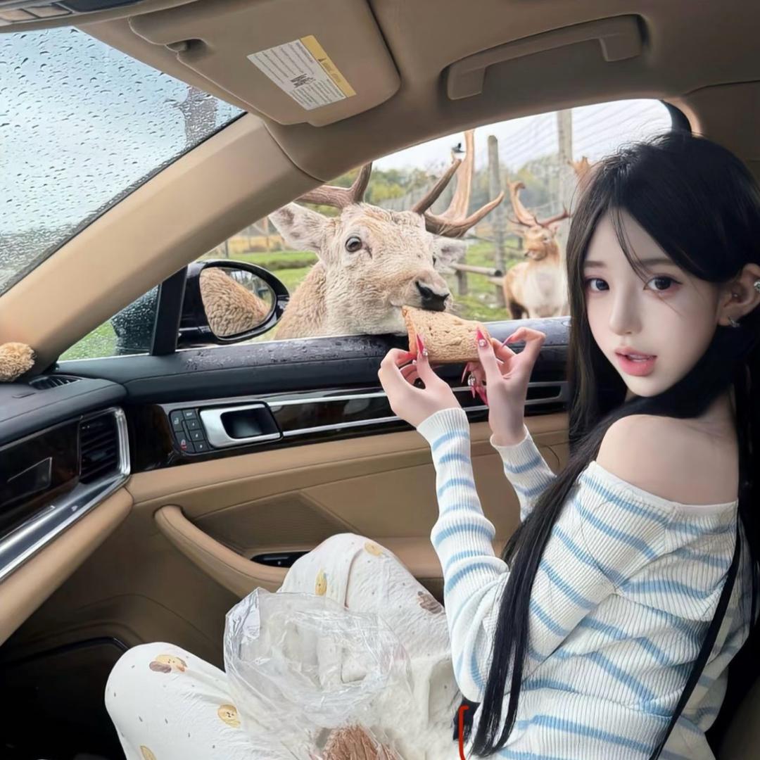 十六六🧚‍♀️