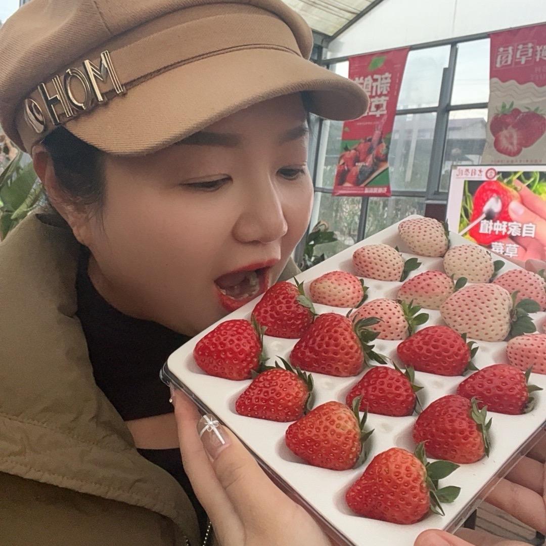 鑫姐