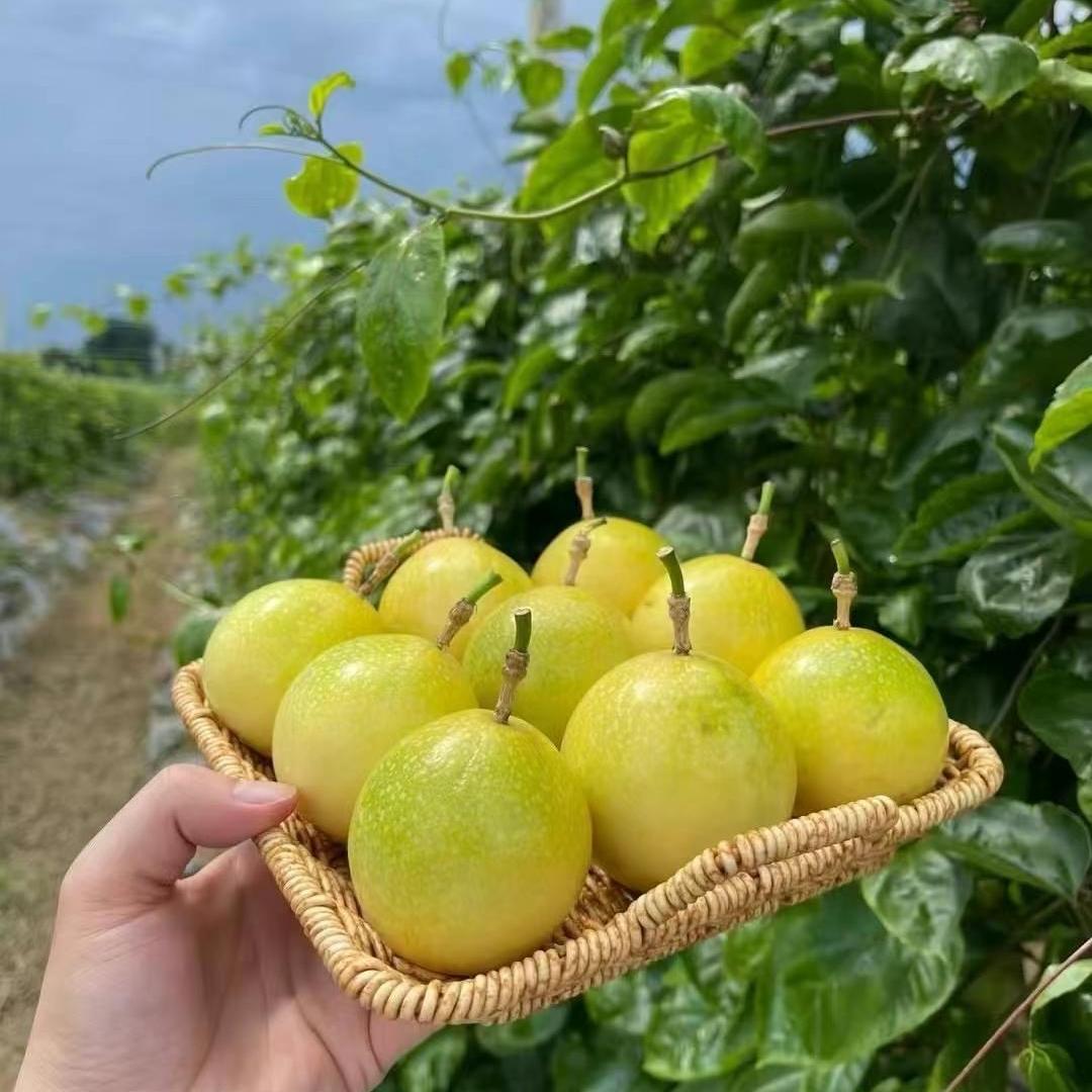 果百香生鲜汇