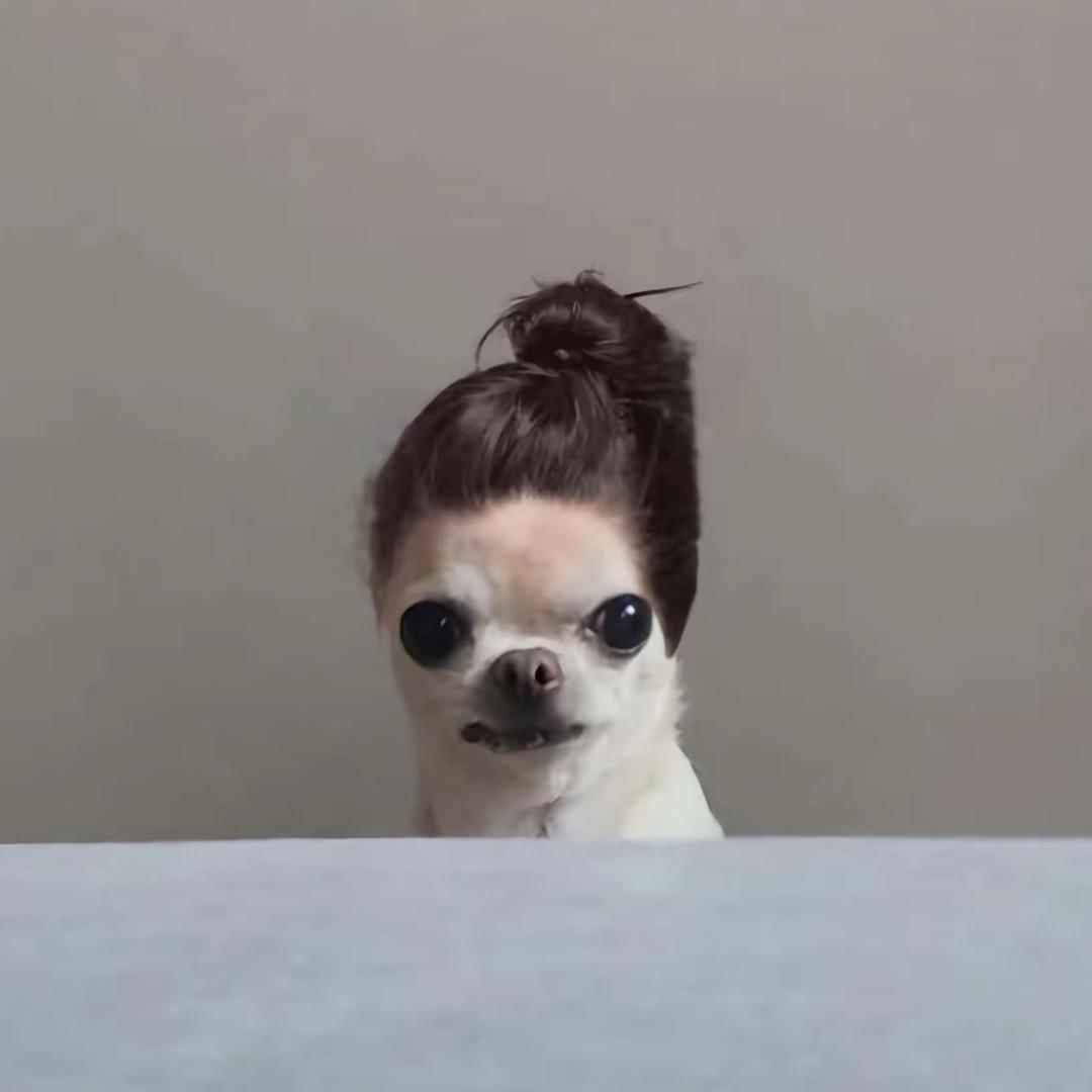 跳蚤的腋下管理