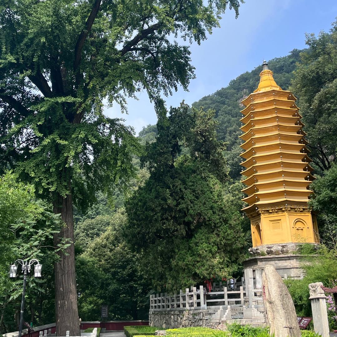 🐒浩然正气🐒