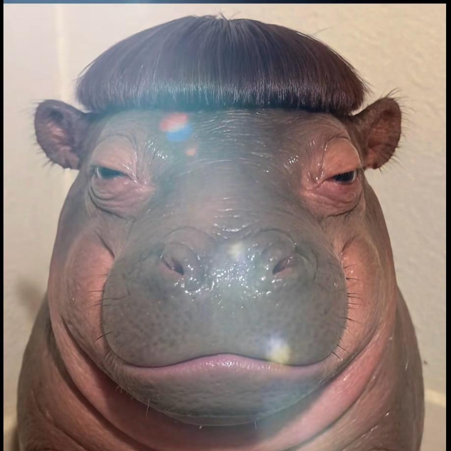 财迷
