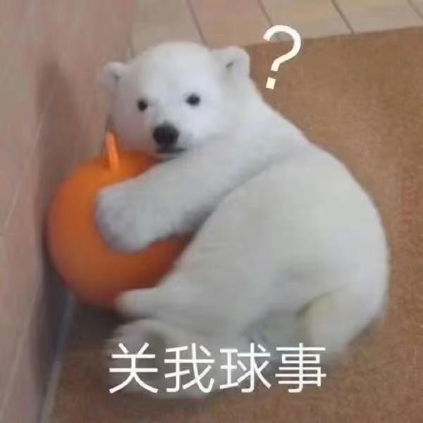 大猩猩