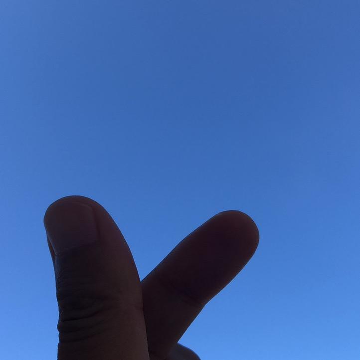 乐乐