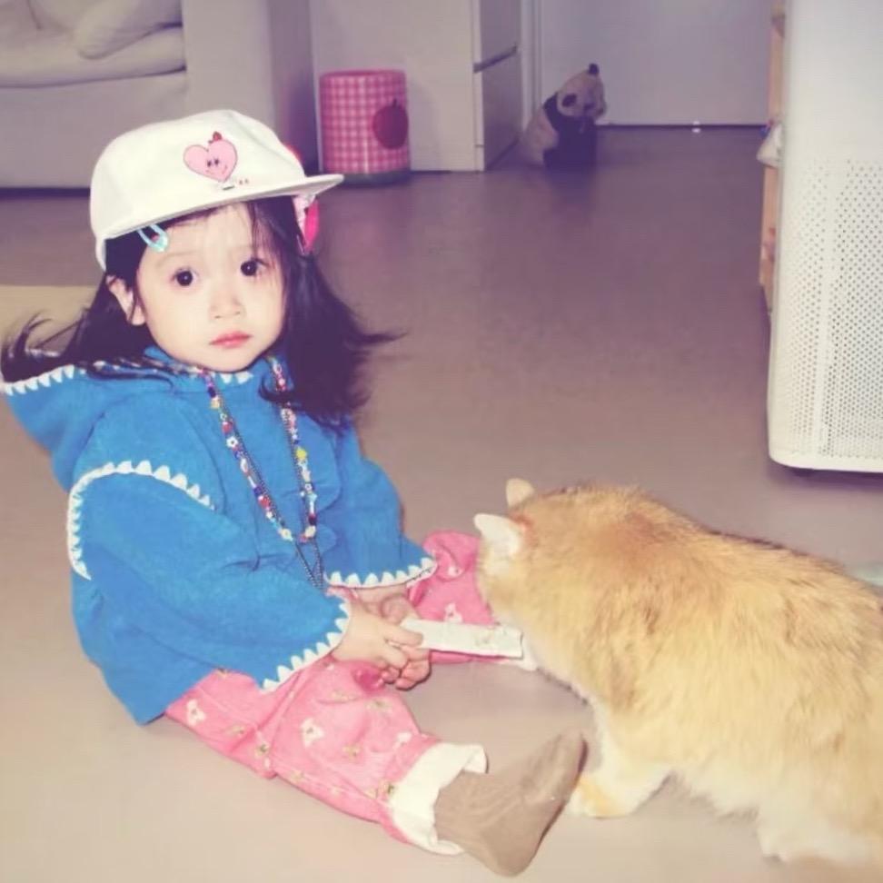 为了白敬亭才来抖音的