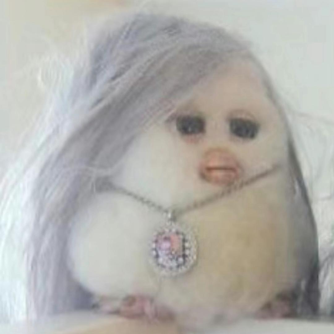 快乐女孩
