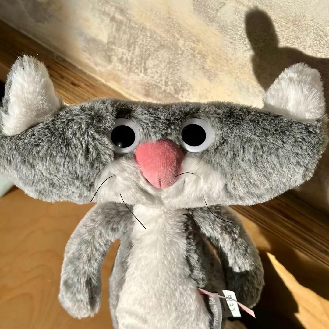 AAA赵相机批发📷