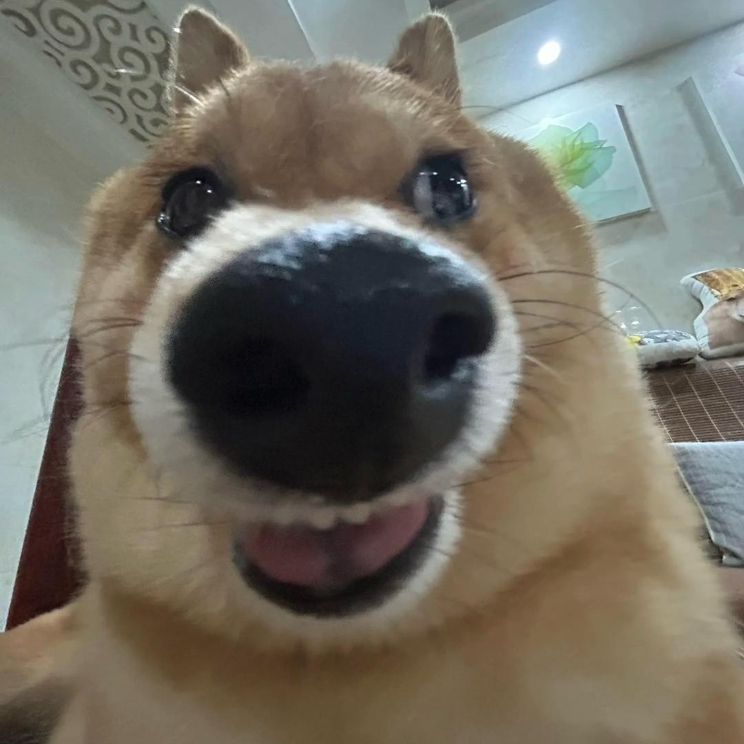 磷酸盐🍒
