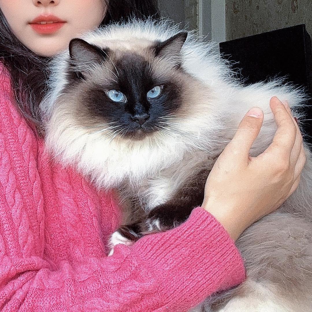 大周周