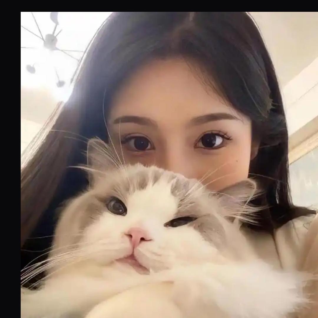 💌掌心甜