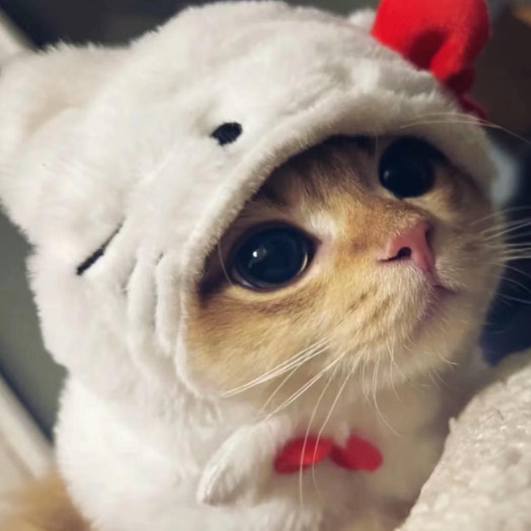 宇宙无敌超级霸王龙小宝