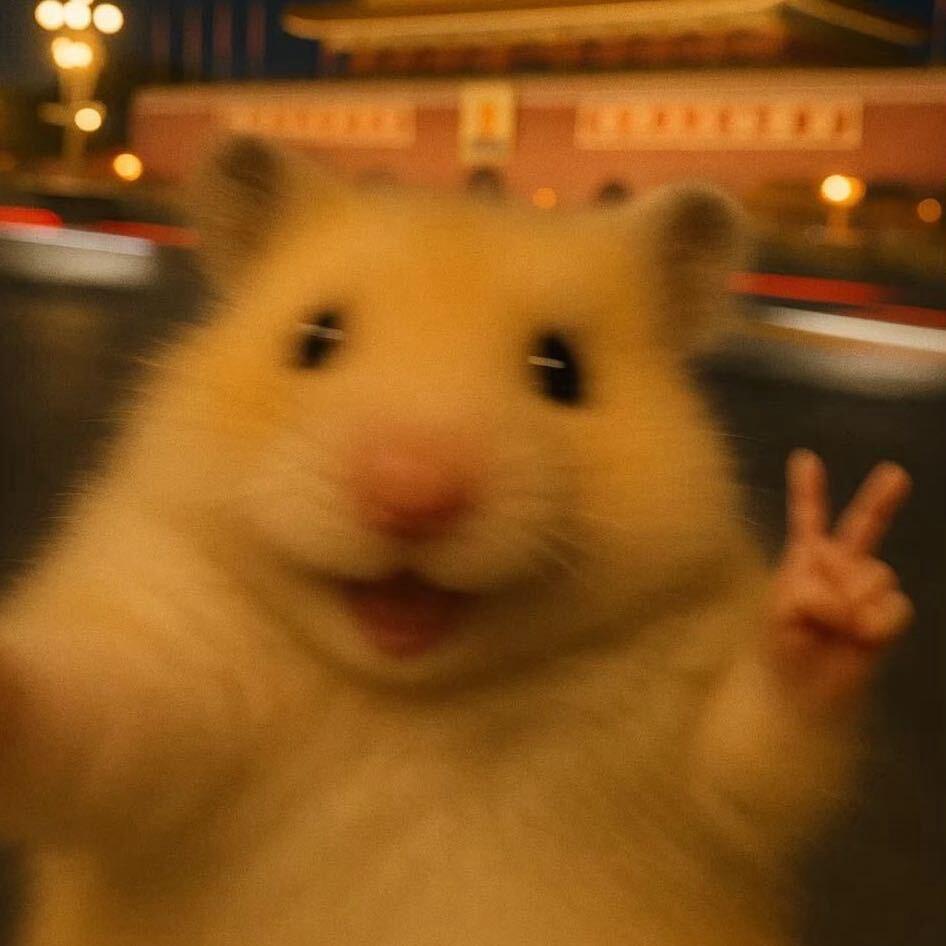 小博（三角洲）