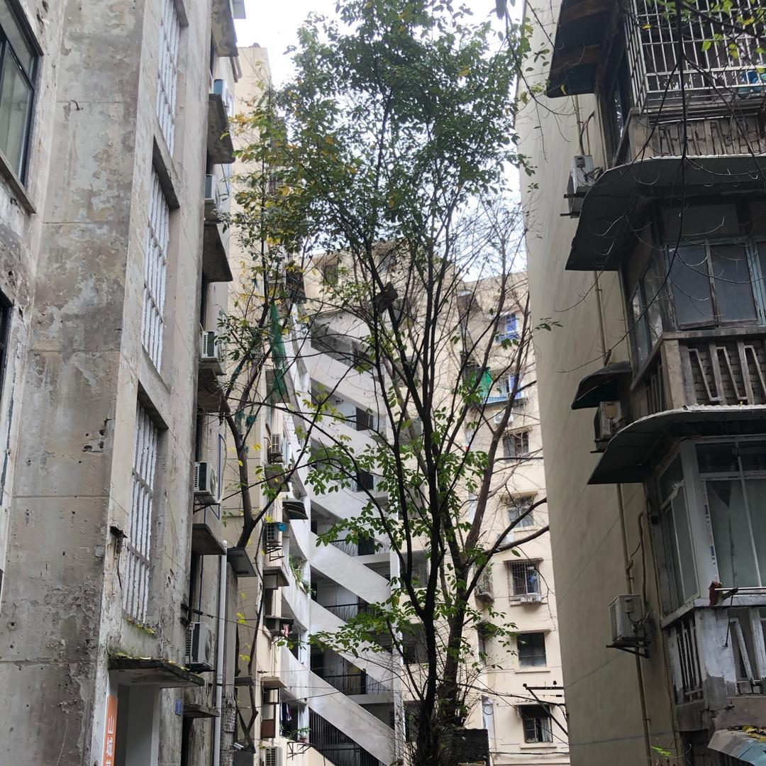 在新时代行走的人