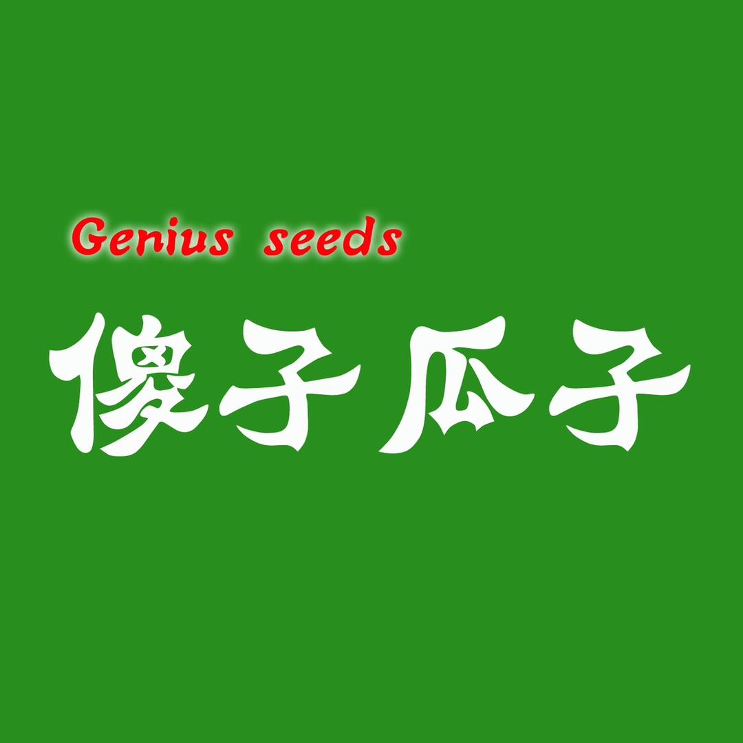 傻子瓜子鲜果零食