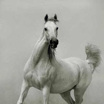 果洛托弥AI影视后期