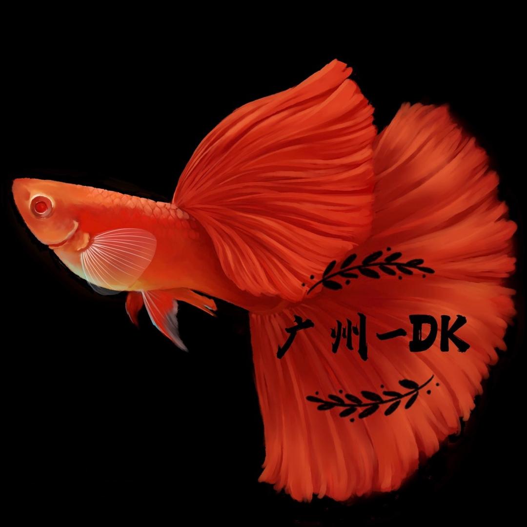 DK孔雀鱼
