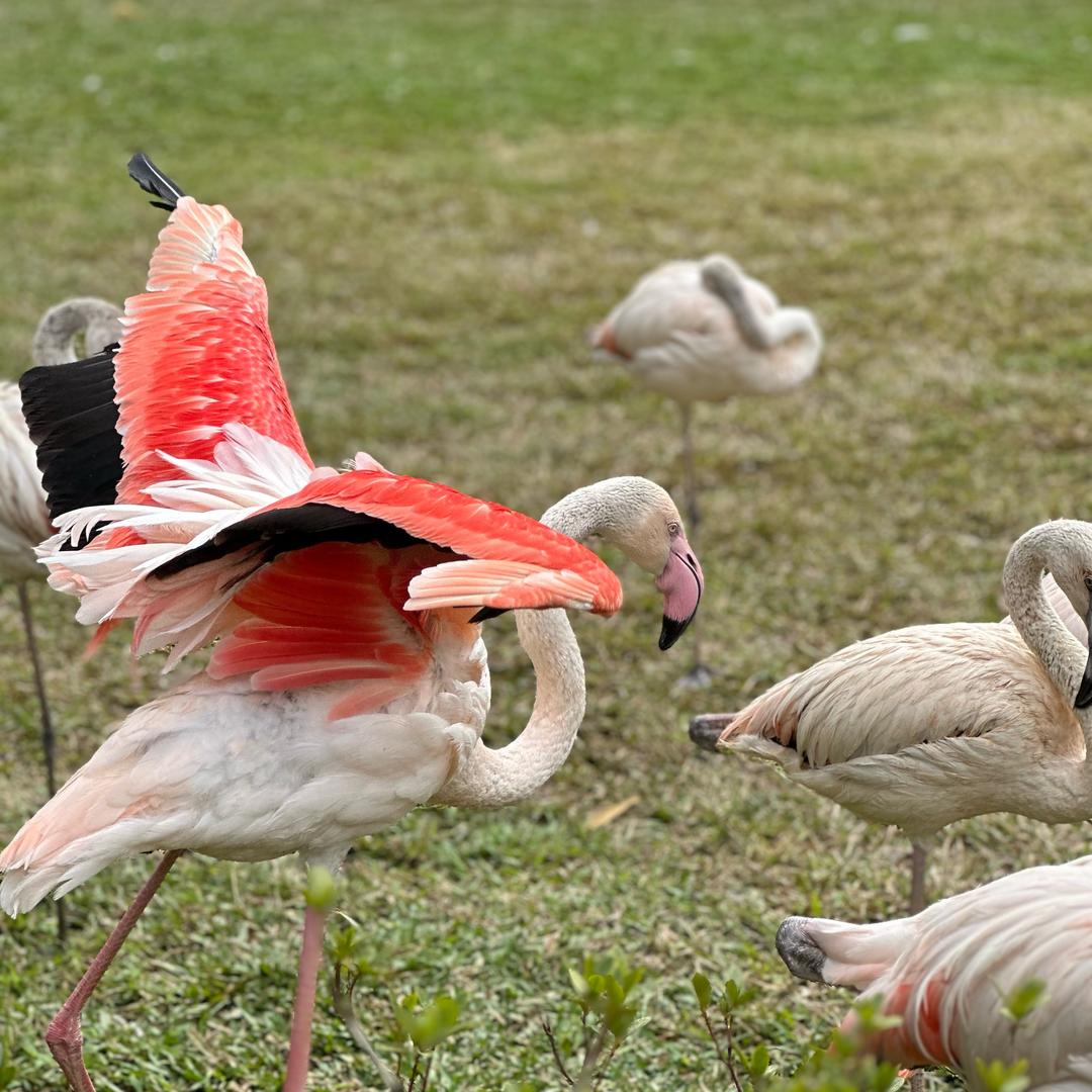 乄īǎo心安之处