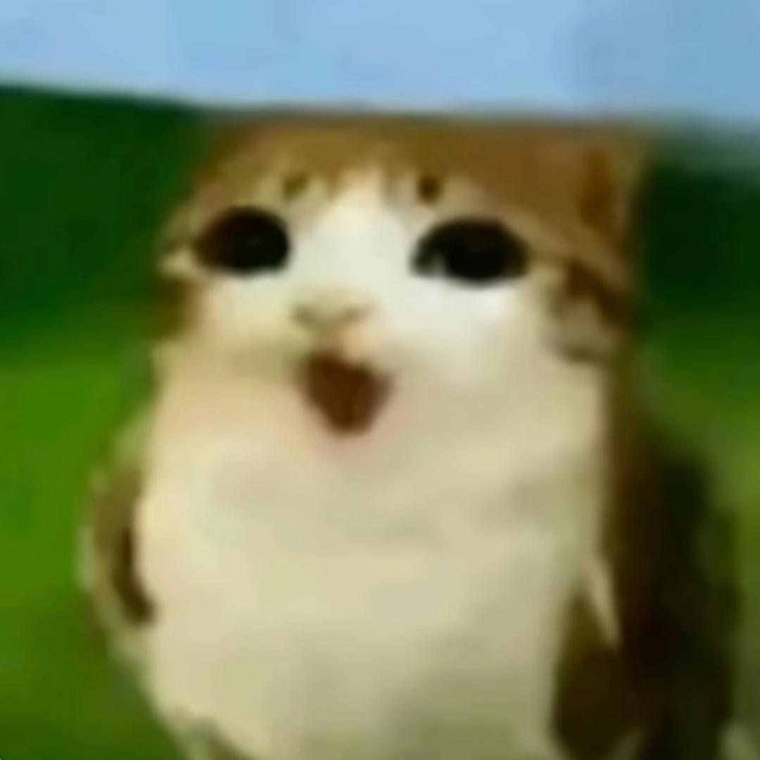 梅露露