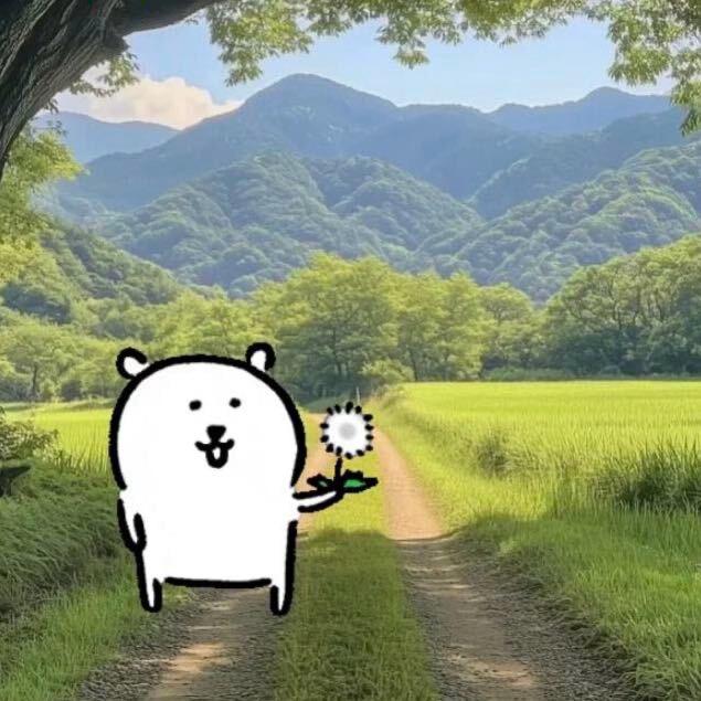 叽鱼饼JYB（求推荐版