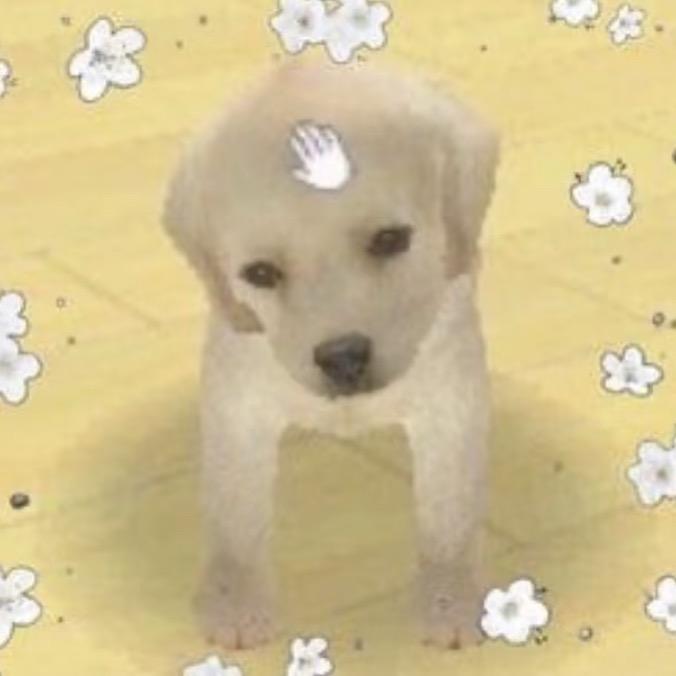 一坨大便