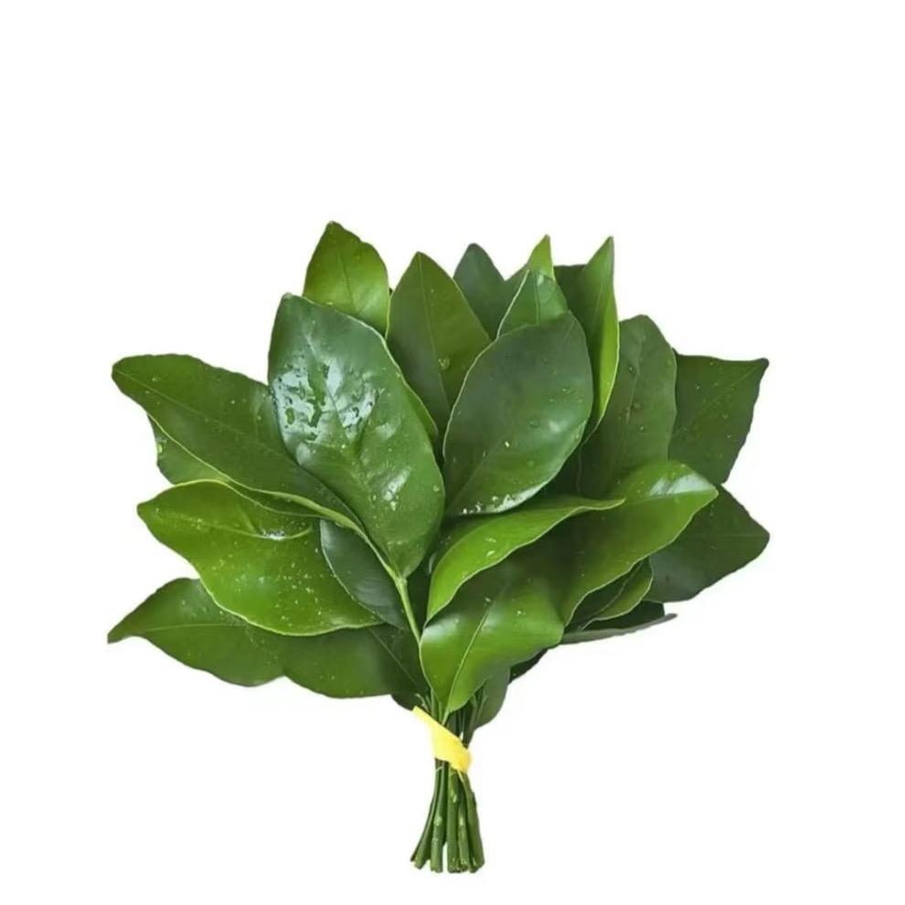 扶9