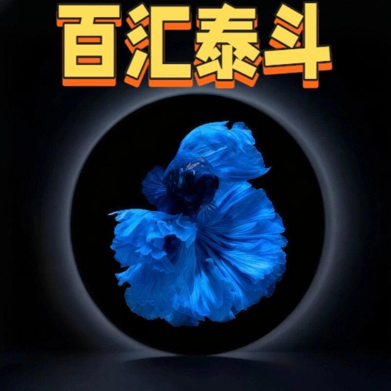 百汇泰斗水族坊