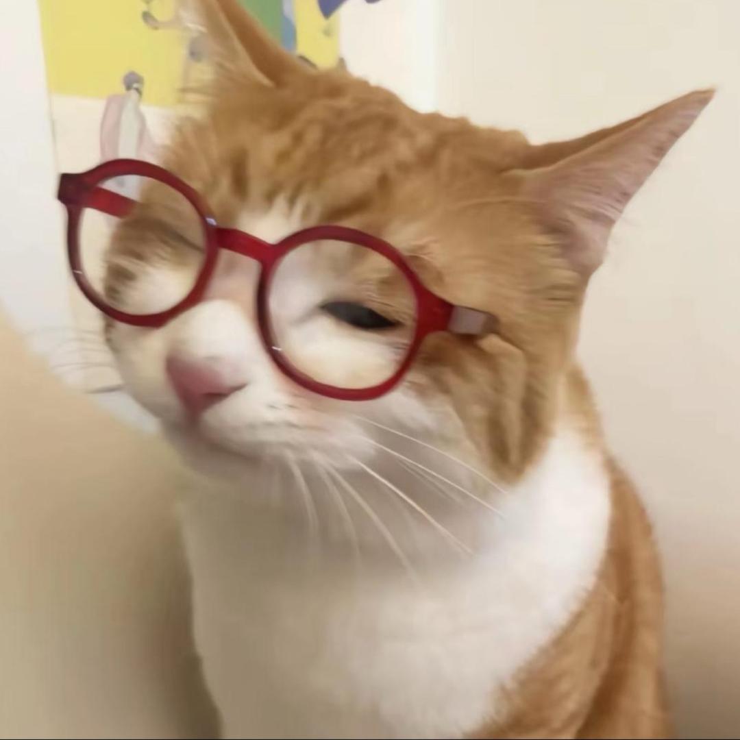 棋宝