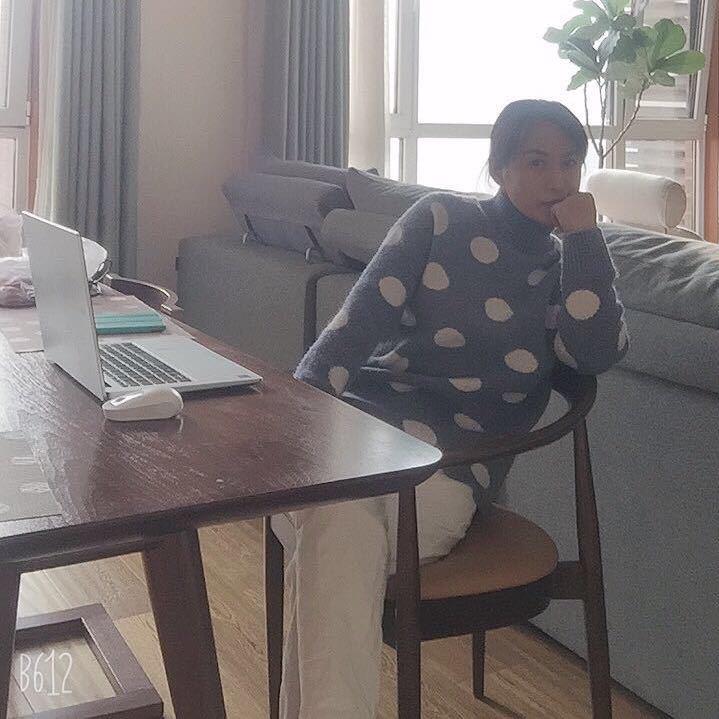 🌻不期而遇🌻