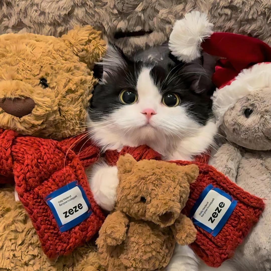 两毛钱冰淇淋🍦