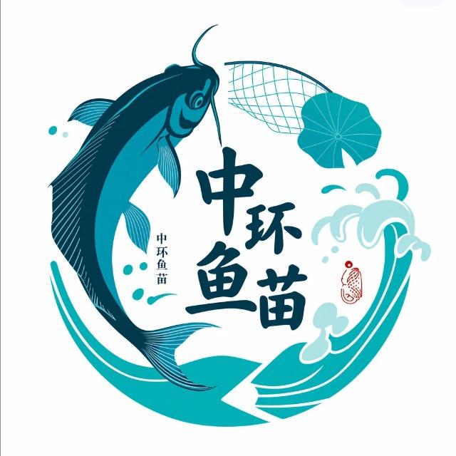 中环鱼苗