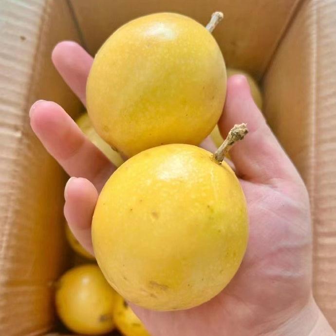 风美优选企业店