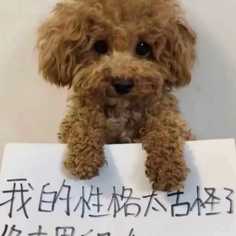 -少爷好难当