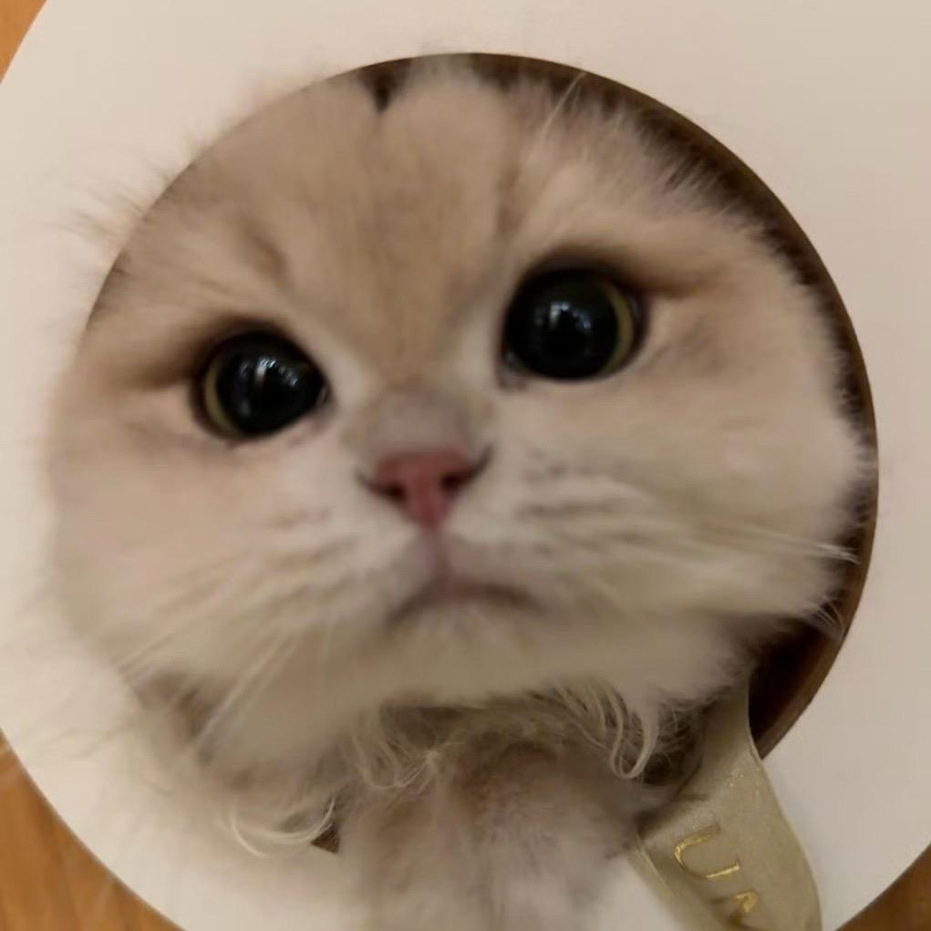 秋