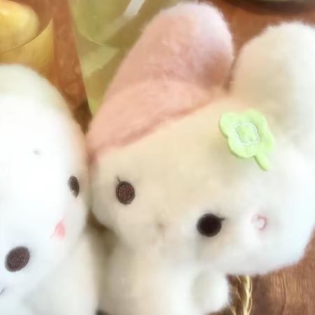 毛绒绒过完一生