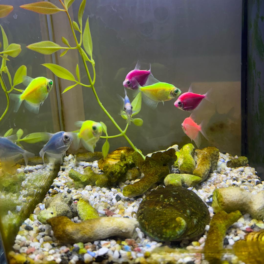 我想静静🤪🤪