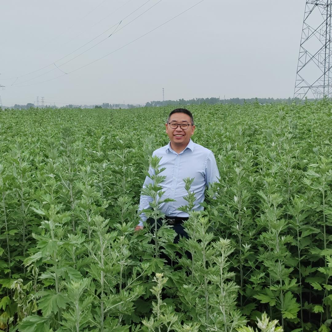 新疆艾草哥