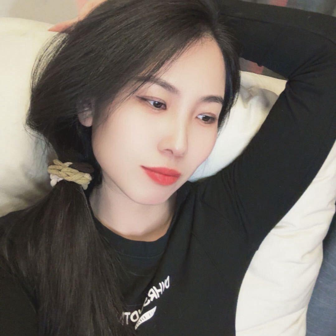 鲨鱼🦈
