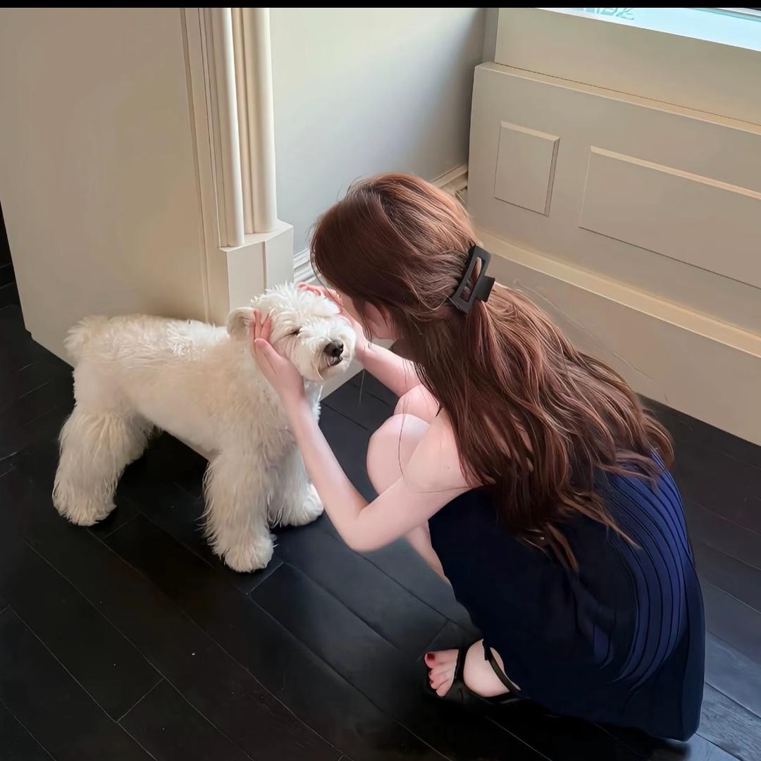 A涵涵(鼎盛二手车)