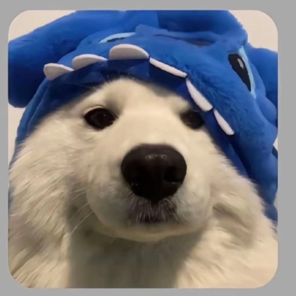 玖
