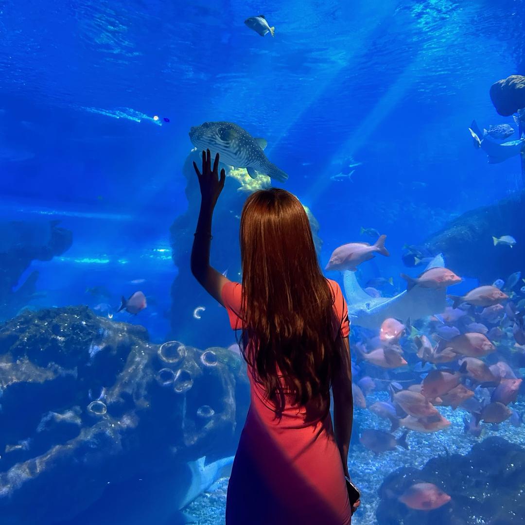 哈尔滨商K 酒吧预定•美元儿