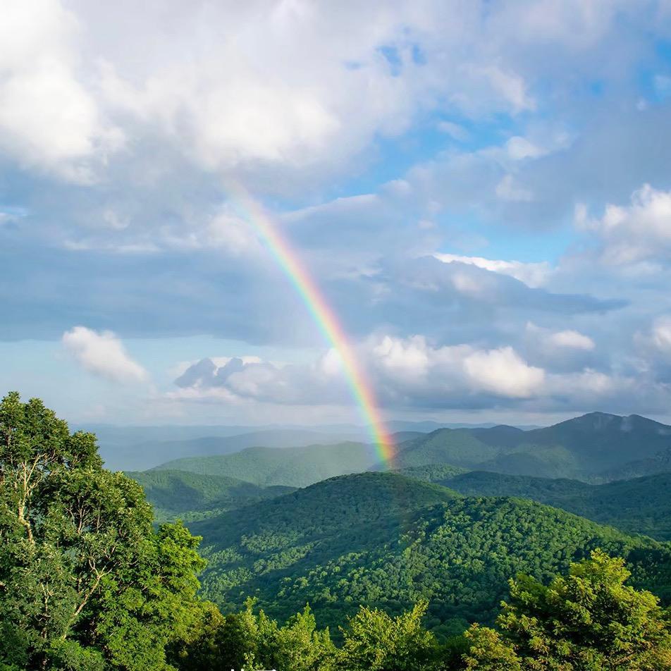 青春盛颜——丛丛
