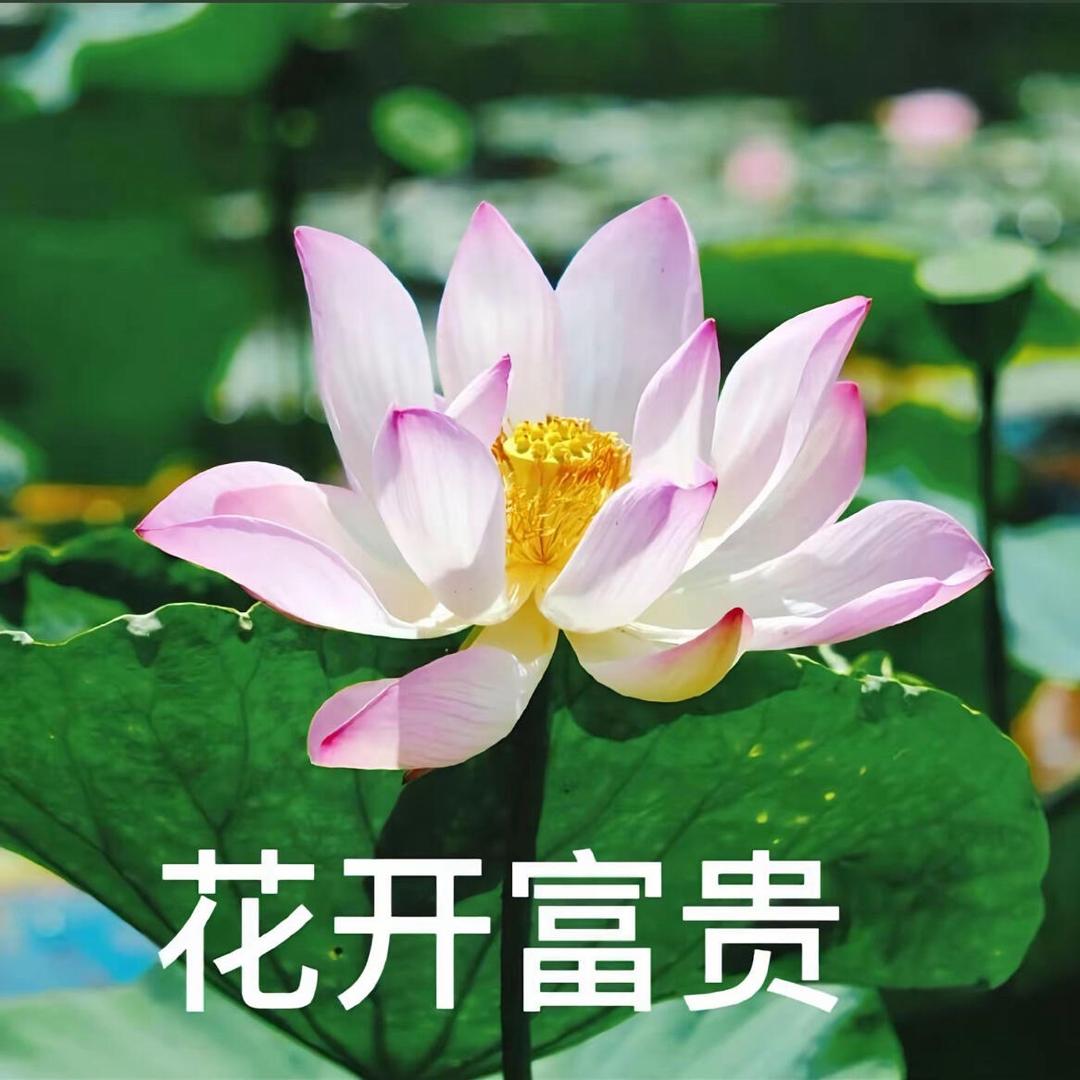 🙍‍♀️皮蛋