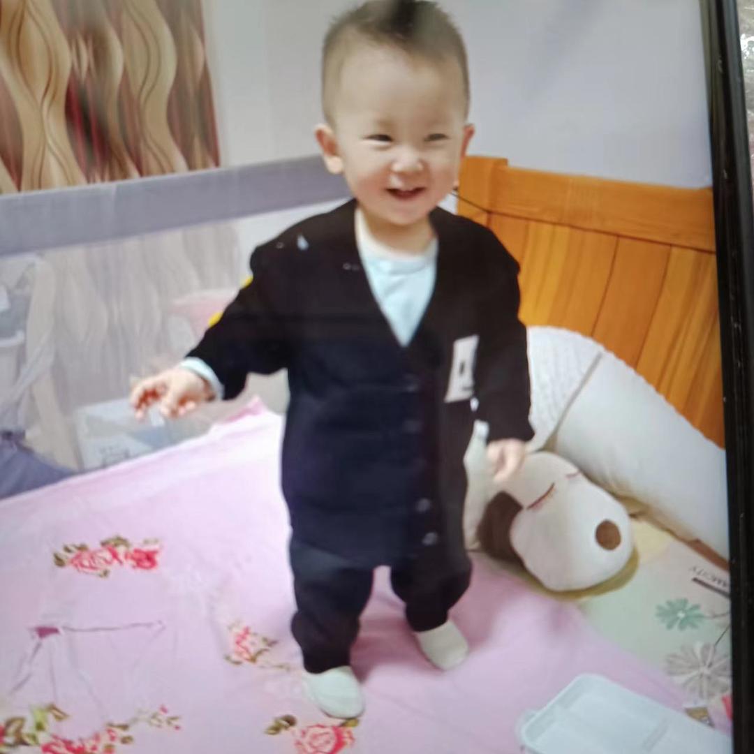 Z M J张