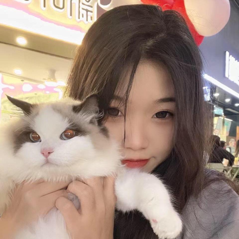 小富贵是布偶