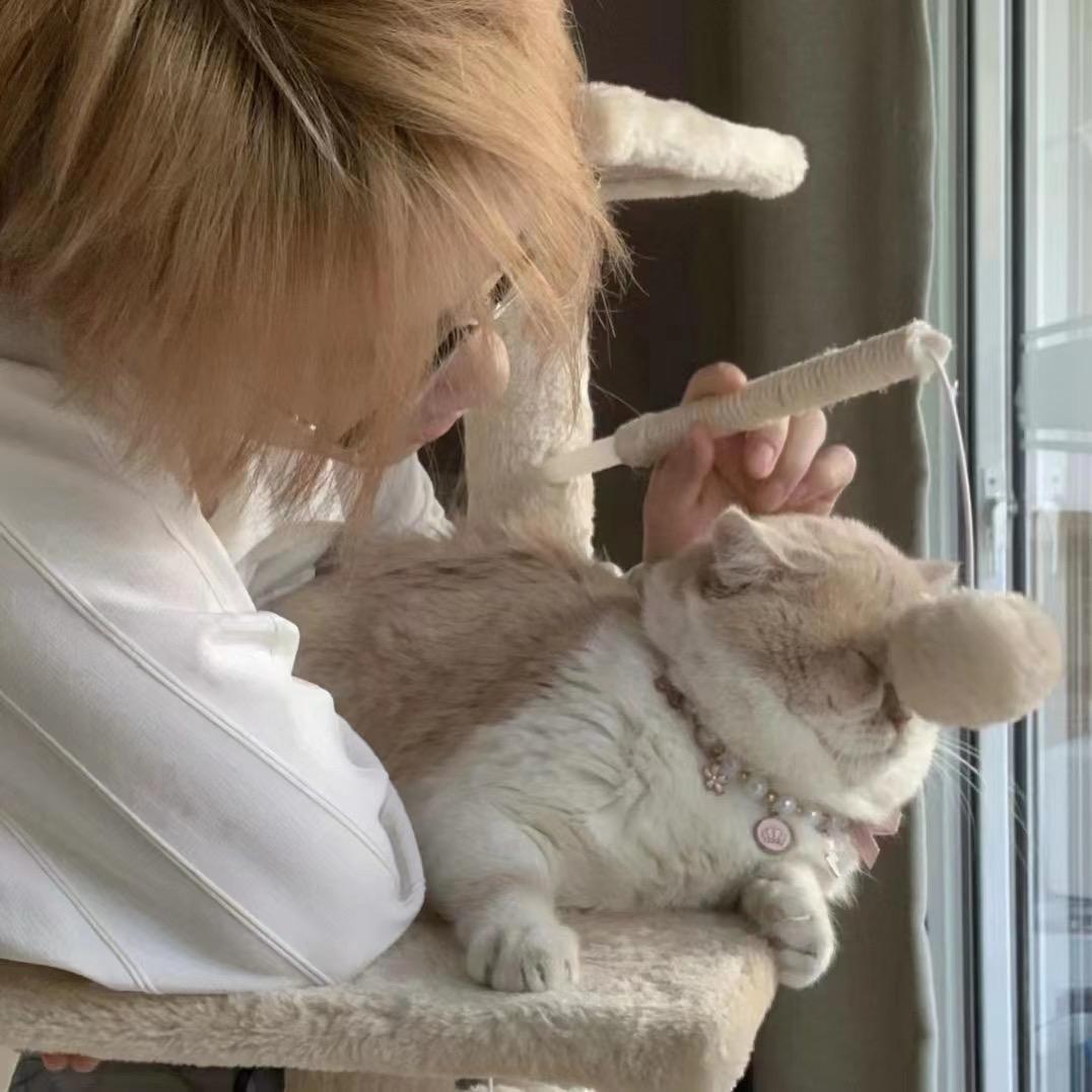 老白.