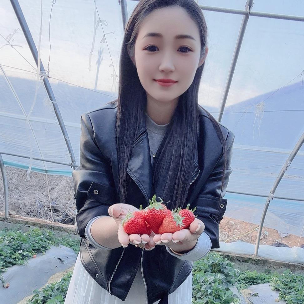 李李 草莓园