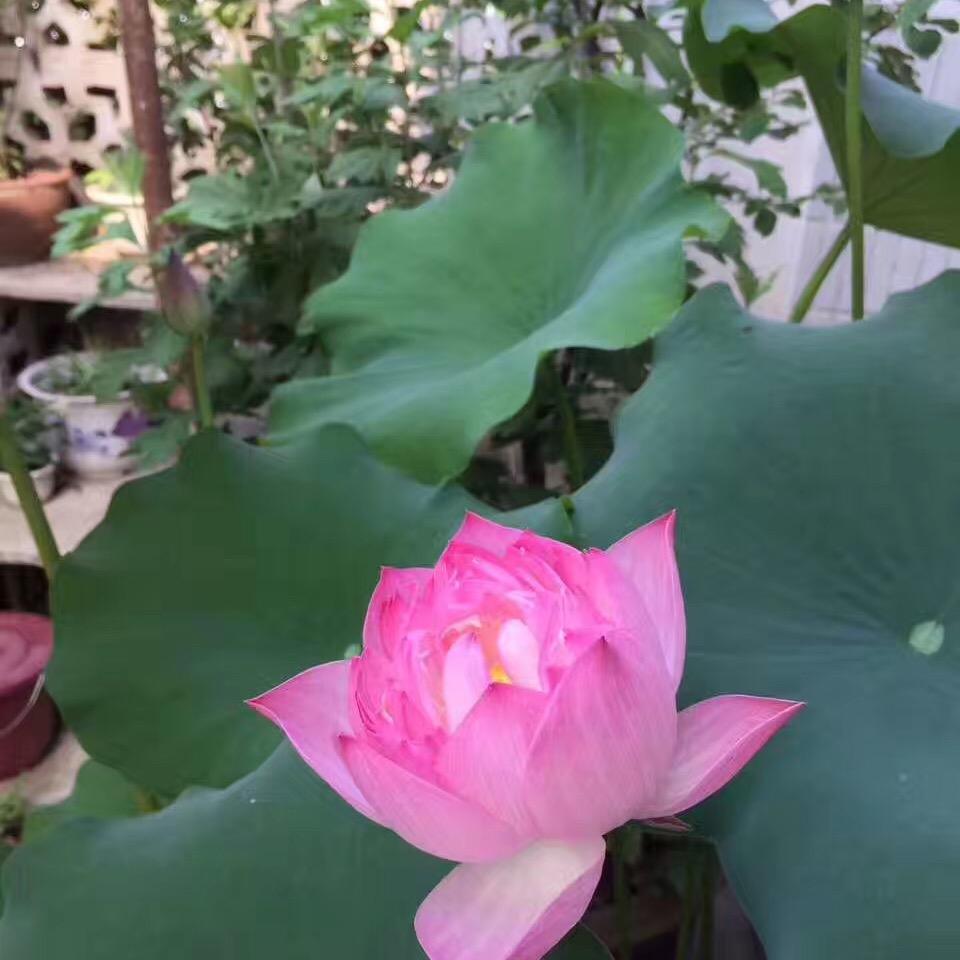 我们的故事可以写剧本