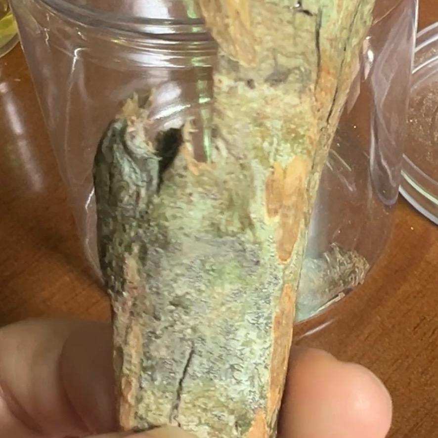 化北沉香