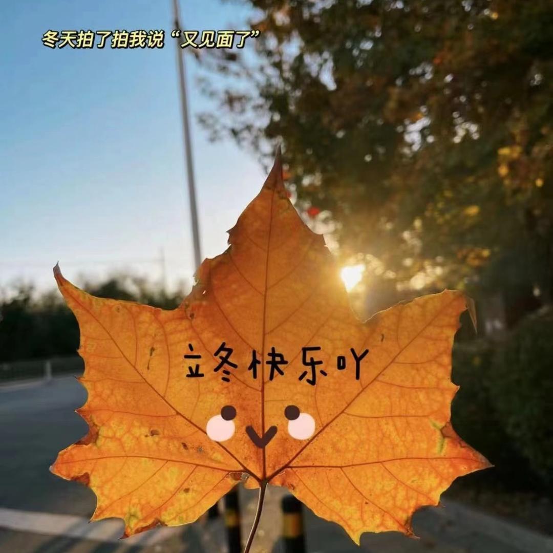 蔷薇