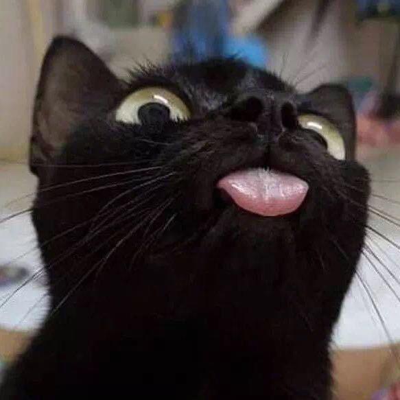 LL...